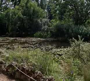 Flora und Botanischer Garten