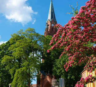 Pfarrkirche St. Marien