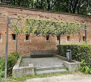 Barfüsser Biergarten