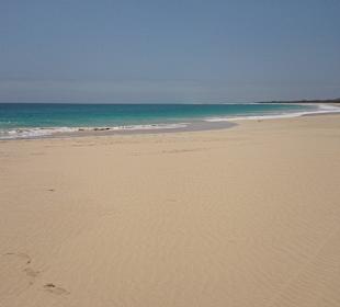 Strand Santa Mónica 