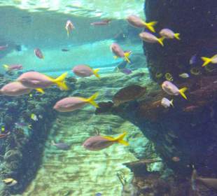 Zoo Wrocław
