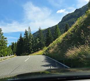 Auf geht`s..............