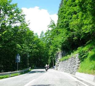 Auffahrt Plöckenpass im Juni