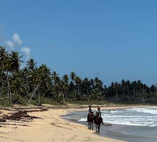 Galoppieren am Strand