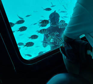 Panorama-Halb-U-Boot-Tour & Schnorchelausflug mit Transfer