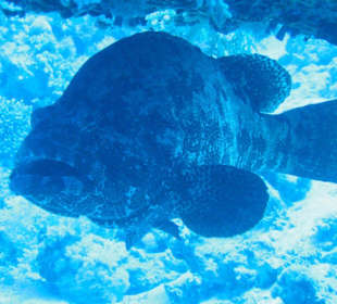 Verstecken nutzt nichts