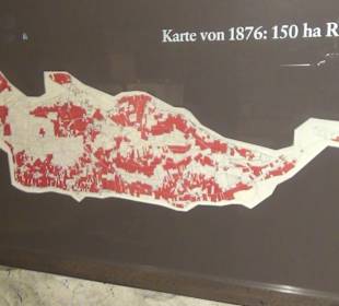 Museum Reichenau Mittelzell