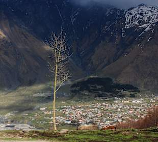 Wandern Tiflis / Tbilisi