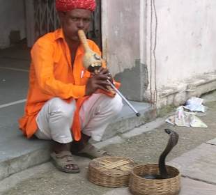 Schlangen"beschwörer"