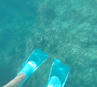 Schnorcheln Pointe aux Piments