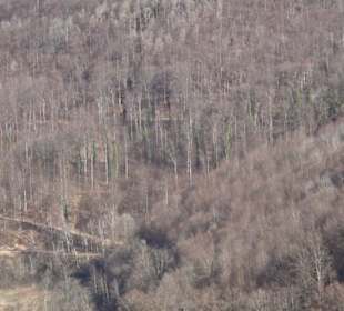 Wandertour Eppenzill