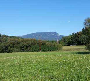 Berg Schöckl 1445 m