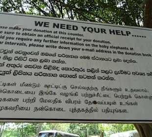 Elefantenreiten Sigiriya