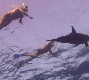 Urlaubsträume werden wahr...