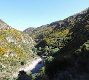 Mitder Taileri Railway durch die Natur Neuseelands
