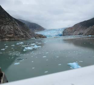 MS Zaandam liegt vor dem Gletscher