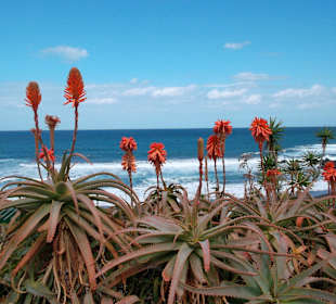 Meerblick Playa Jardin Promenade