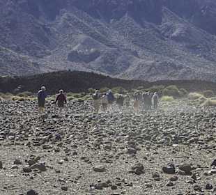 Geführter Landausflug Teneriffa (Voyager of the Seas)