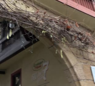 Historisches Gebäude Webergasse 7