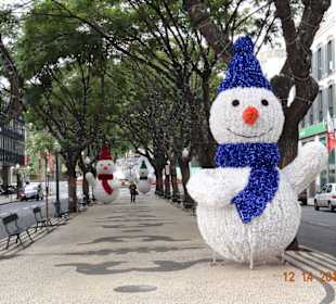 Weihnachten im Funchal