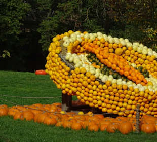 Kürbisausstellung