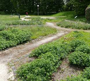 Stadtpark Glacis West