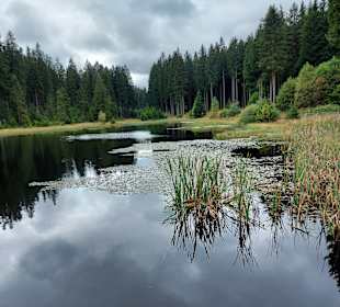 Talsperre Muldenberg