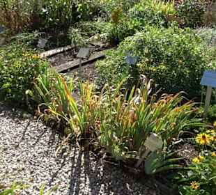 Klosterkirche Maria Gnadenzell