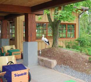 Erlebnispark Tripsdrill