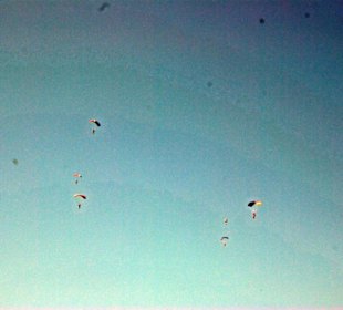 Die Meute in der Luft