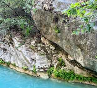 Traumhaft schöne Natur
