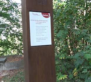 Bussen Schöpfungsweg Offingen