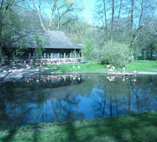 Flamingo - Anlage