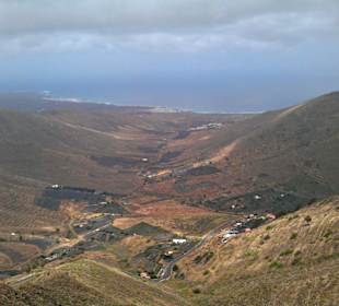 "Tal der 1000 Palmen"