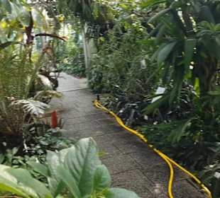 Botanischer Garten 