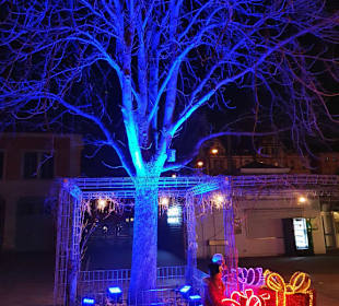 Christmas Garden Stuttgart 