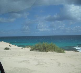 Dünenstrand vor Corralejo/ Fuerteventura