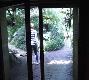 Botanischer Garten der Universität Zürich