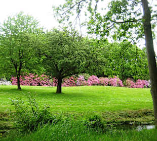 Schlosspark Lütetsburg