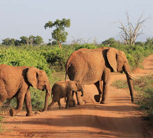 Tsavo East