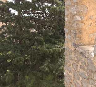 Wallfahrtskirche Santuari de Sant Salvador