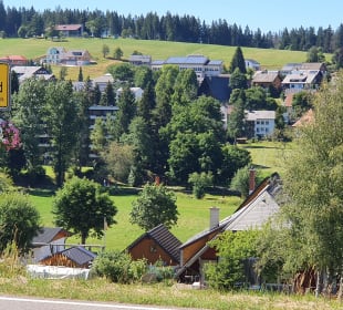 Wandern Schönwald im Schwarzwald