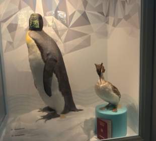 Museum Natur und Mensch