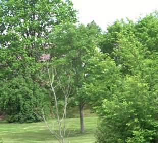 Flößerpfad Loßburg