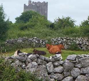Dysert O'Dea Castle