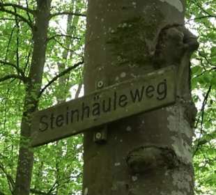 Naturpark Schönbuch