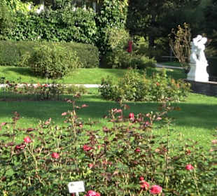 Rosengarten Botanischer Garten