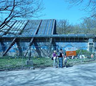 Delphinarium