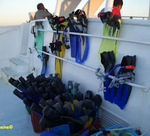 Schnorchelausflug mit SimSim-Reisen