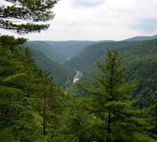 Pine Creek Gorge, Wellsboro, Pennsylvania